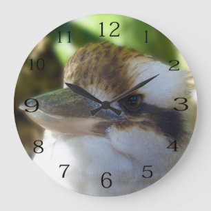 Australian Kookaburra Close Up, Große Wanduhr
