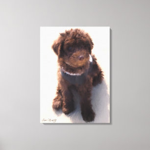 AUSTRALIAN LABRADOODLE PUPPY LEINWANDDRUCK
