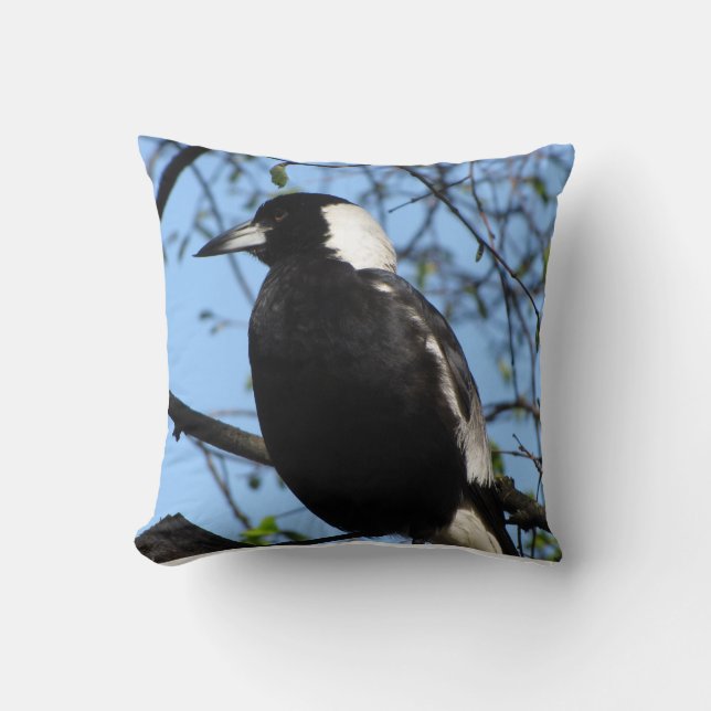 Australian Magpie Kissen (Vorderseite)