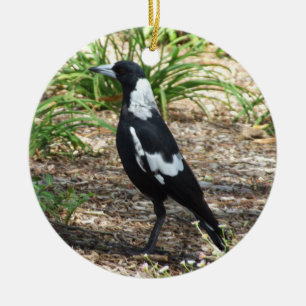 Australian Magpie Ornament