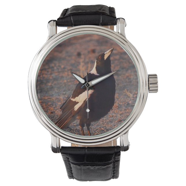 Australian Magpie watch Armbanduhr (Vorderseite)