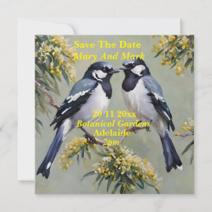 Australian Magpies Oil Paint, Save the Date, Date