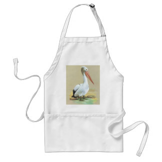 Australian Pelican - Pelecanus conspicillatus Schürze