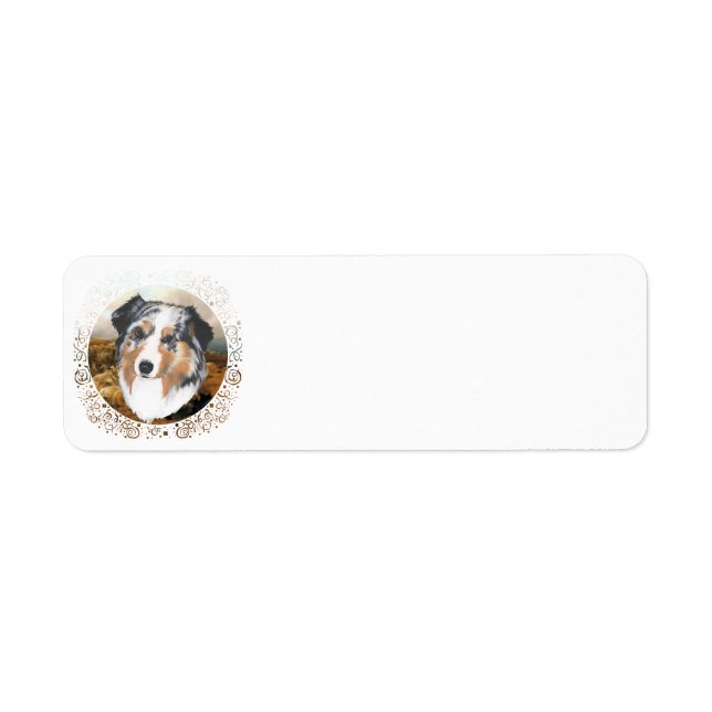 Australian Shepherd (Vorne)
