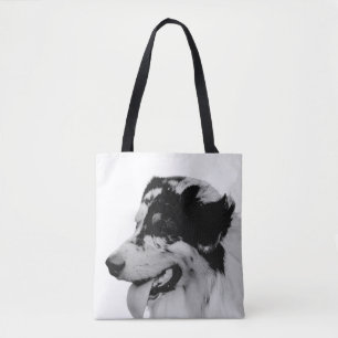 Australian Shepherd