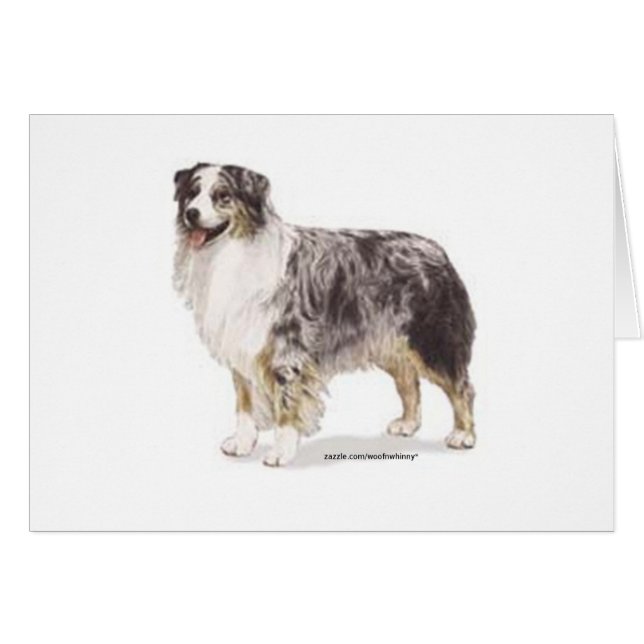Australian Shepherd (Vorderseite (Horizontal))