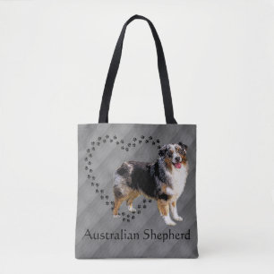 Australian Shepherd