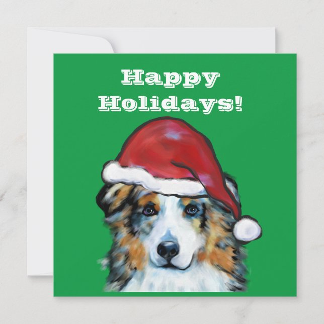 Australian Shepherd (Vorderseite)