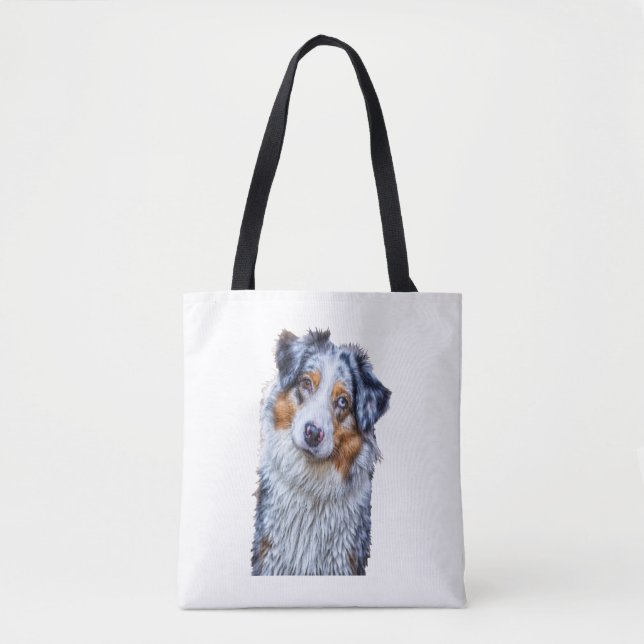 Australian Shepherd (Vorderseite)