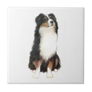 Australian Shepherd (A) - Tri Color Fliese