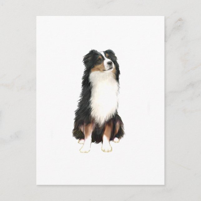 AUSTRALIAN SHEPHERD (A) - Tri Color Postkarte (Vorderseite)