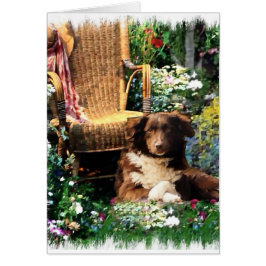 Australian Shepherd Art Gifts