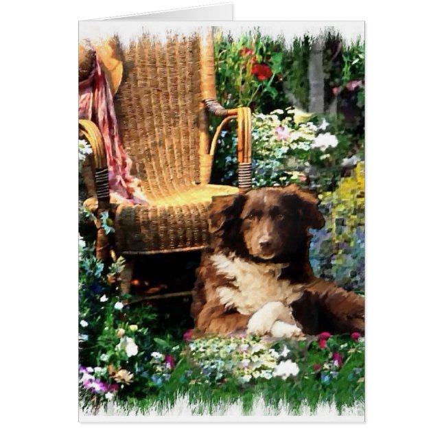 Australian Shepherd Art Gifts (Vorne)