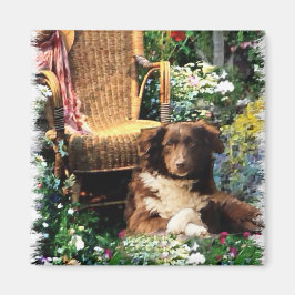 Australian Shepherd Art Gifts Magnet