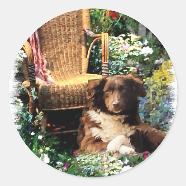 Australian Shepherd Art Gifts Runder Aufkleber (Vorderseite)