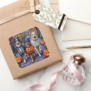 Australian Shepherd beim Trick-or-Treat an Hallowe Quadratischer Aufkleber