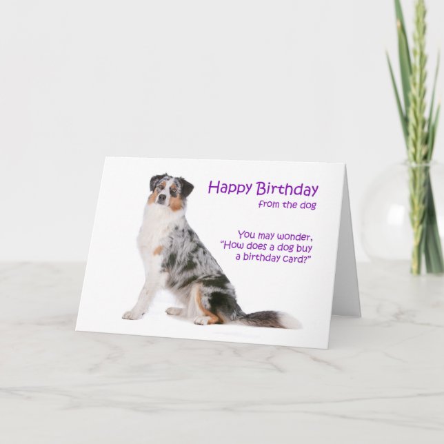 Australian Shepherd Birthday Card Karte (Vorderseite)
