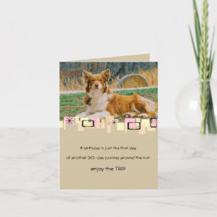 Australian Shepherd Birthday Greeting Card Karte