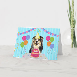 Australian Shepherd Birthday Holiday Card Karte