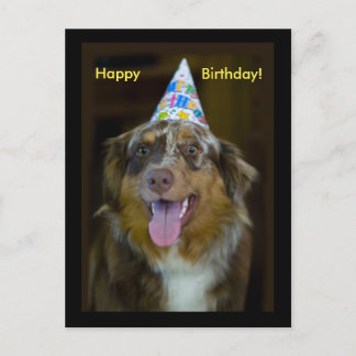 Australian Shepherd Birthday Party Dog Einladungspostkarte