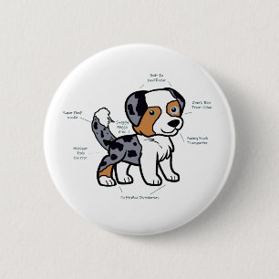 Australian Shepherd Blue Merle Lustige Anatomie Button