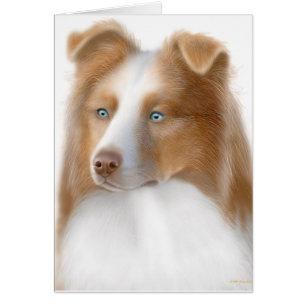 Australian Shepherd Card