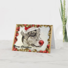 Australian Shepherd Christmas Card Feiertagskarte