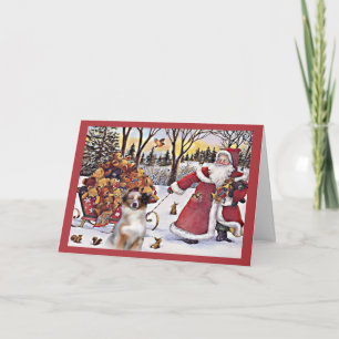Australian Shepherd Christmas Card Santa Bears In Feiertagskarte