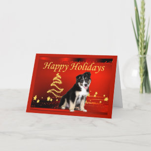 Australian Shepherd Christmas Card Stars Feiertagskarte