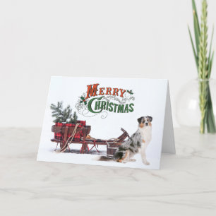 Australian Shepherd Christmas Feiertagskarte