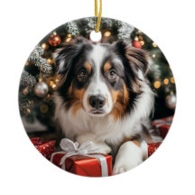 Australian Shepherd Christmas