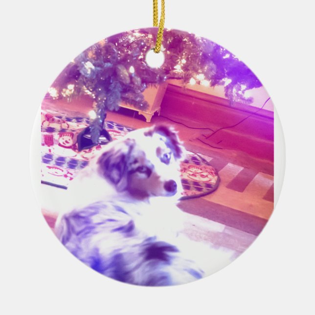 Australian Shepherd Christmas Keramikornament (Vorne)