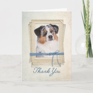 Australian Shepherd Danke-Card Dankeskarte
