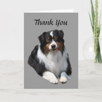 Australian Shepherd Dankeschön Karte