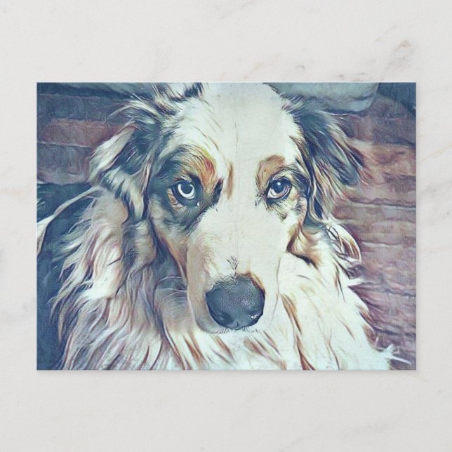 Australian Shepherd Digital Art Postkarte (Vorderseite)