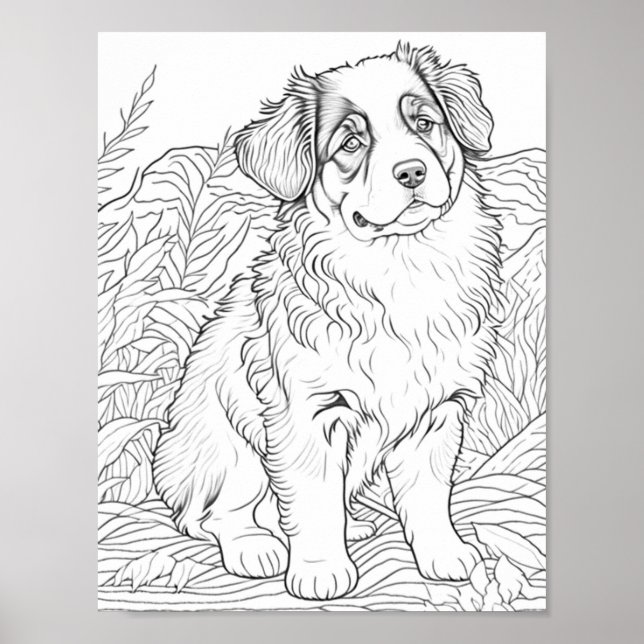 Australian Shepherd Dog Aduloring Poster (Vorne)