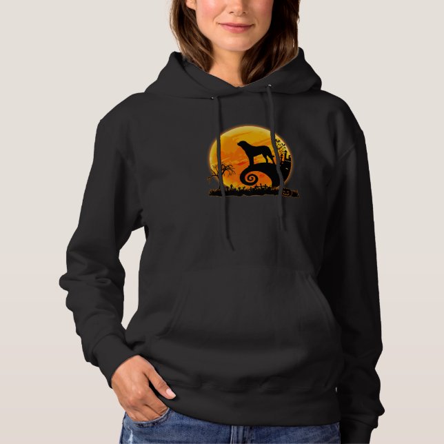 Australian Shepherd Dog And Moon  Halloween Costum Hoodie (Vorderseite)