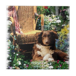 Australian Shepherd Dog Art Fliese