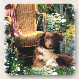 Australian Shepherd Dog Art Getränkeuntersetzer