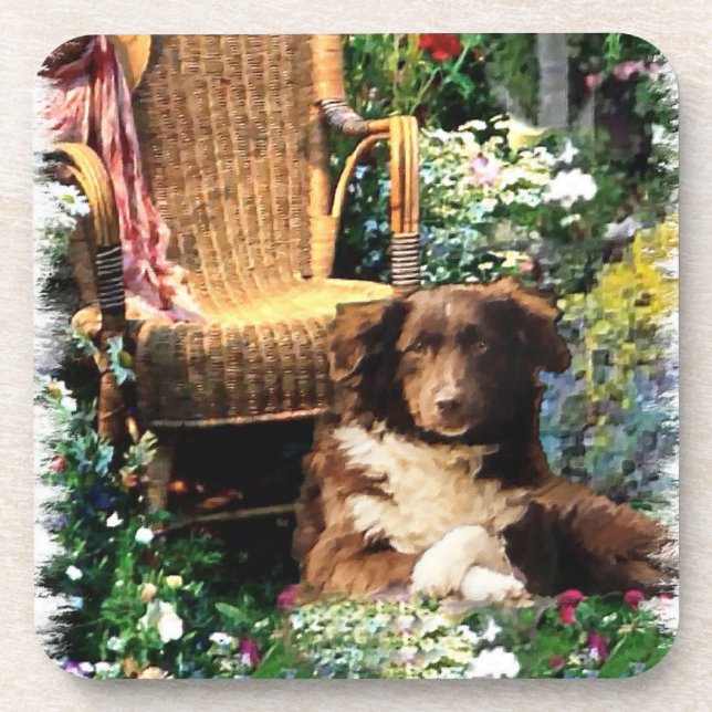 Australian Shepherd Dog Art Getränkeuntersetzer (Vorderseite)
