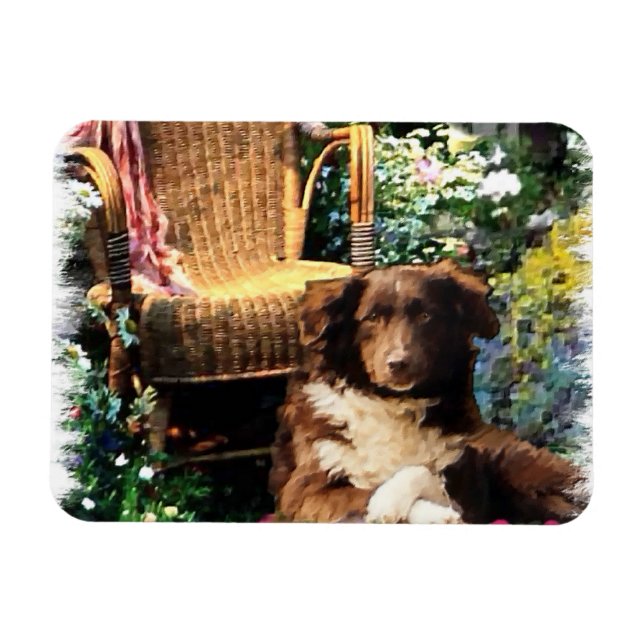 Australian Shepherd Dog Art Magnet (Horizontal)