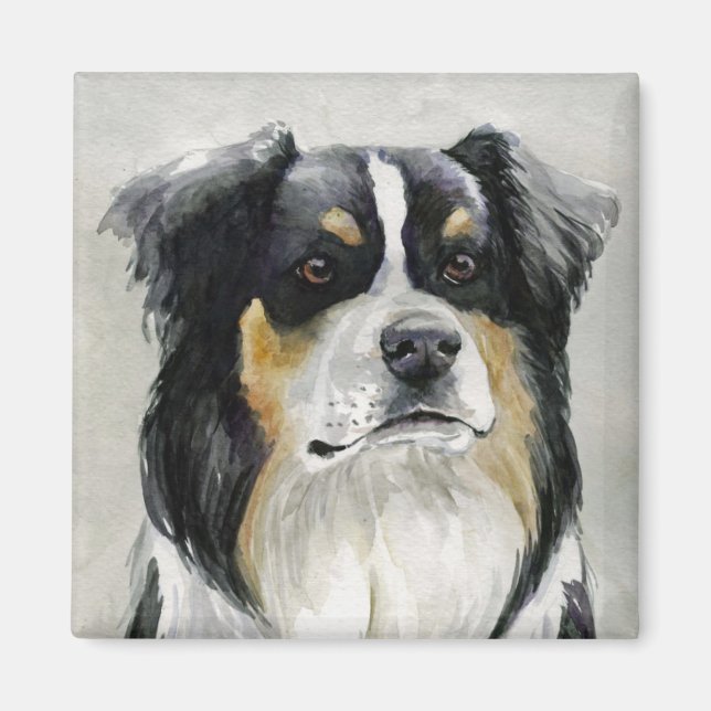 Australian Shepherd Dog Art Magnet (Vorne)