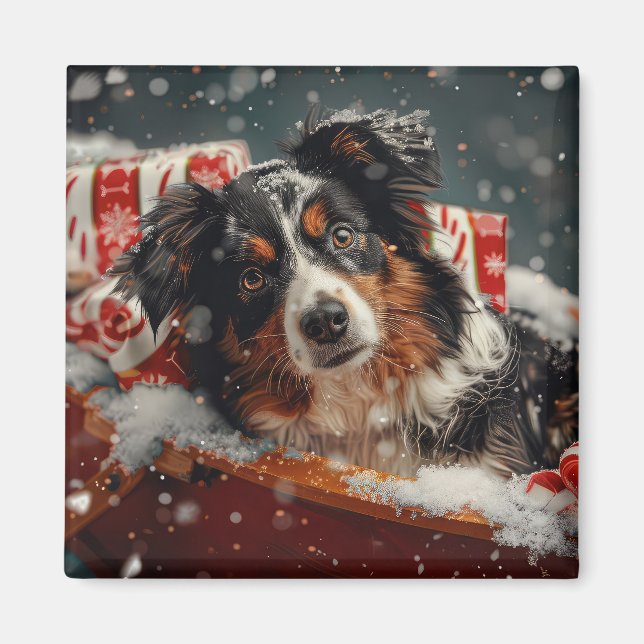 Australian Shepherd Dog Christmas Festive Magnet (Vorne)