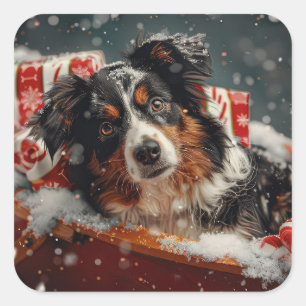 Australian Shepherd Dog Christmas Festive Quadratischer Aufkleber
