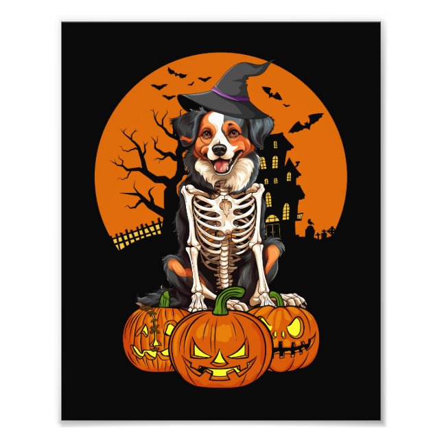 Australian Shepherd Dog Halloween Fotodruck (Vorne)