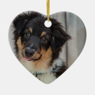 Australian Shepherd Dog Keramikornament