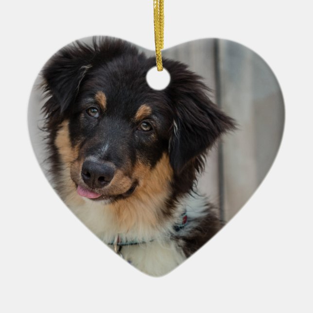 Australian Shepherd Dog Keramikornament (Vorne)