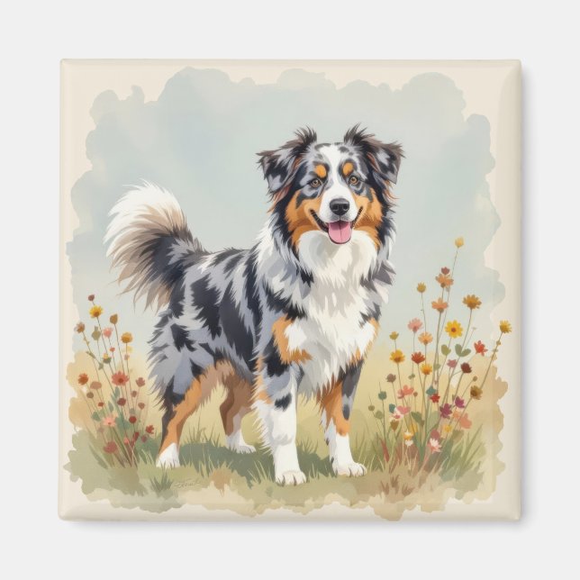 Australian Shepherd Dog Merle Long Tail Magnet (Vorne)