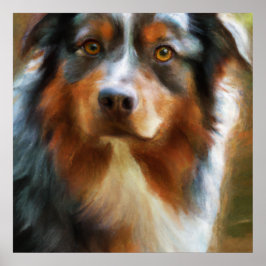 Australian Shepherd - Dog Portrait Poster
