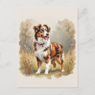 Australian Shepherd Dog Red Merle Aussie Postkarte